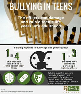 Bullying infographic TR 1