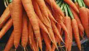 carrots 1082251 1280