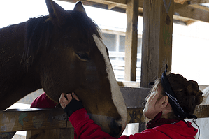 Equine Programming Serves as Alternative Experiential Therapy for Anxious Teens