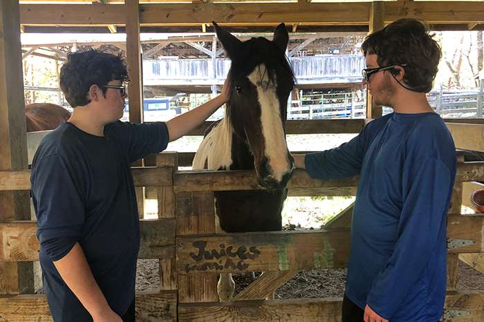 Equine Therapy - two students with a horse