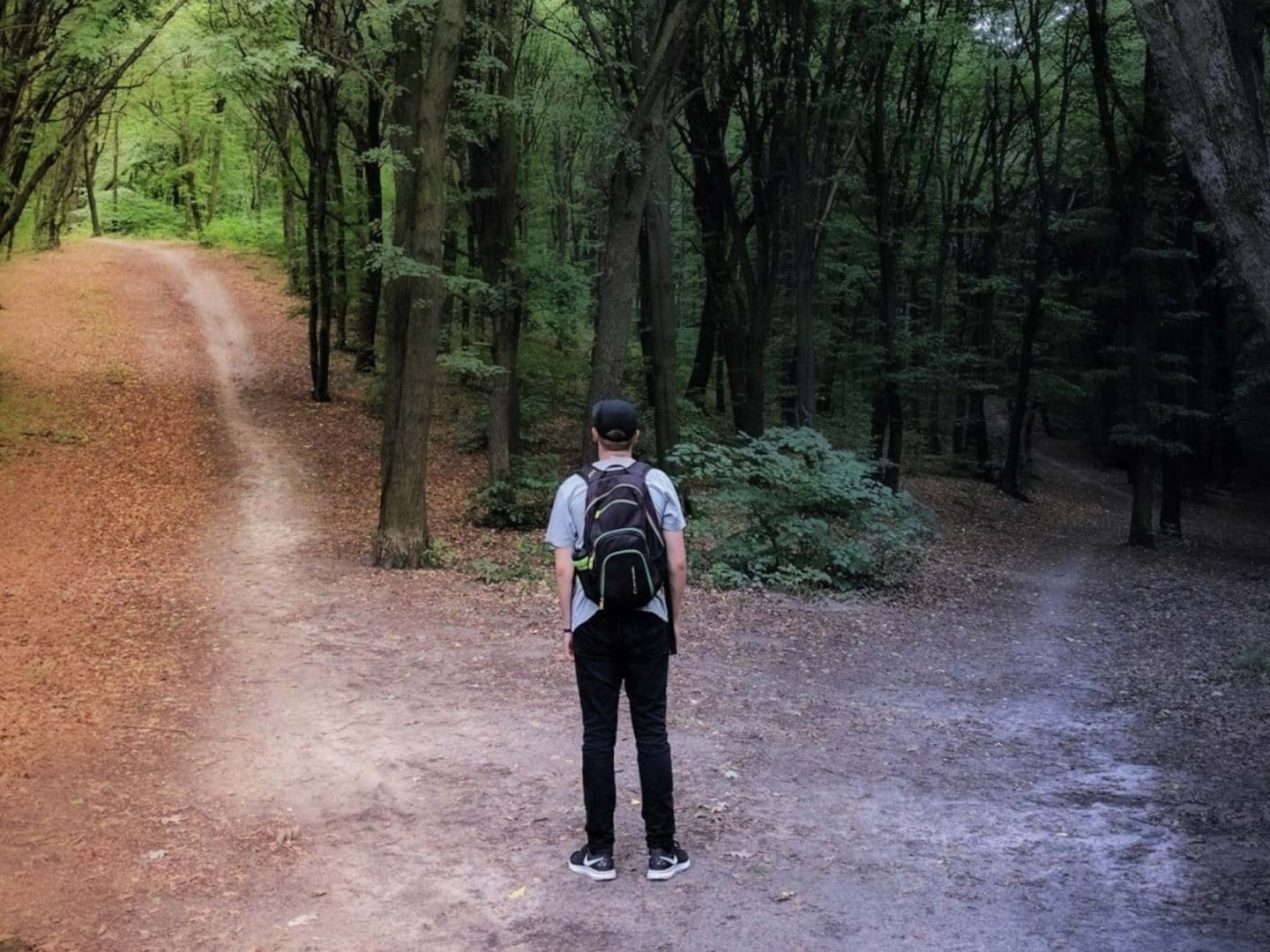 A teen stands at the meeting point of two trails in the forest, one leading higher towards the light and one leading down into darkness